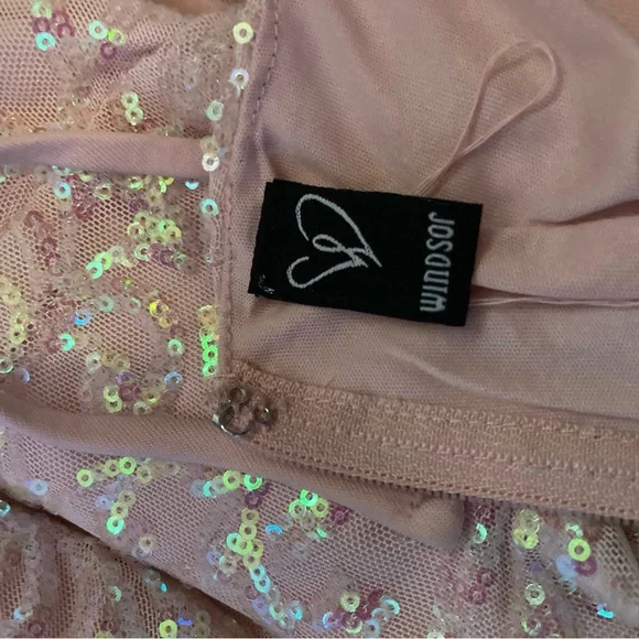 Windsor Blush Sequin Embellished Dress - Picture 6 of 8